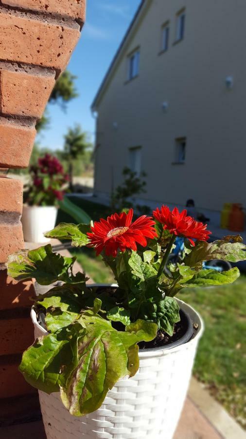 Apartmani "Sandro" Gonar راب المظهر الخارجي الصورة