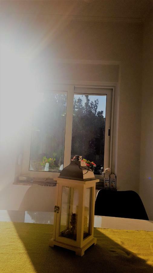 Apartmani "Sandro" Gonar راب المظهر الخارجي الصورة
